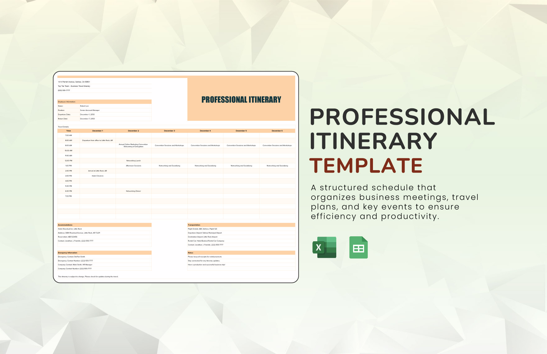 Professional Itinerary Template in Excel, Google Sheets