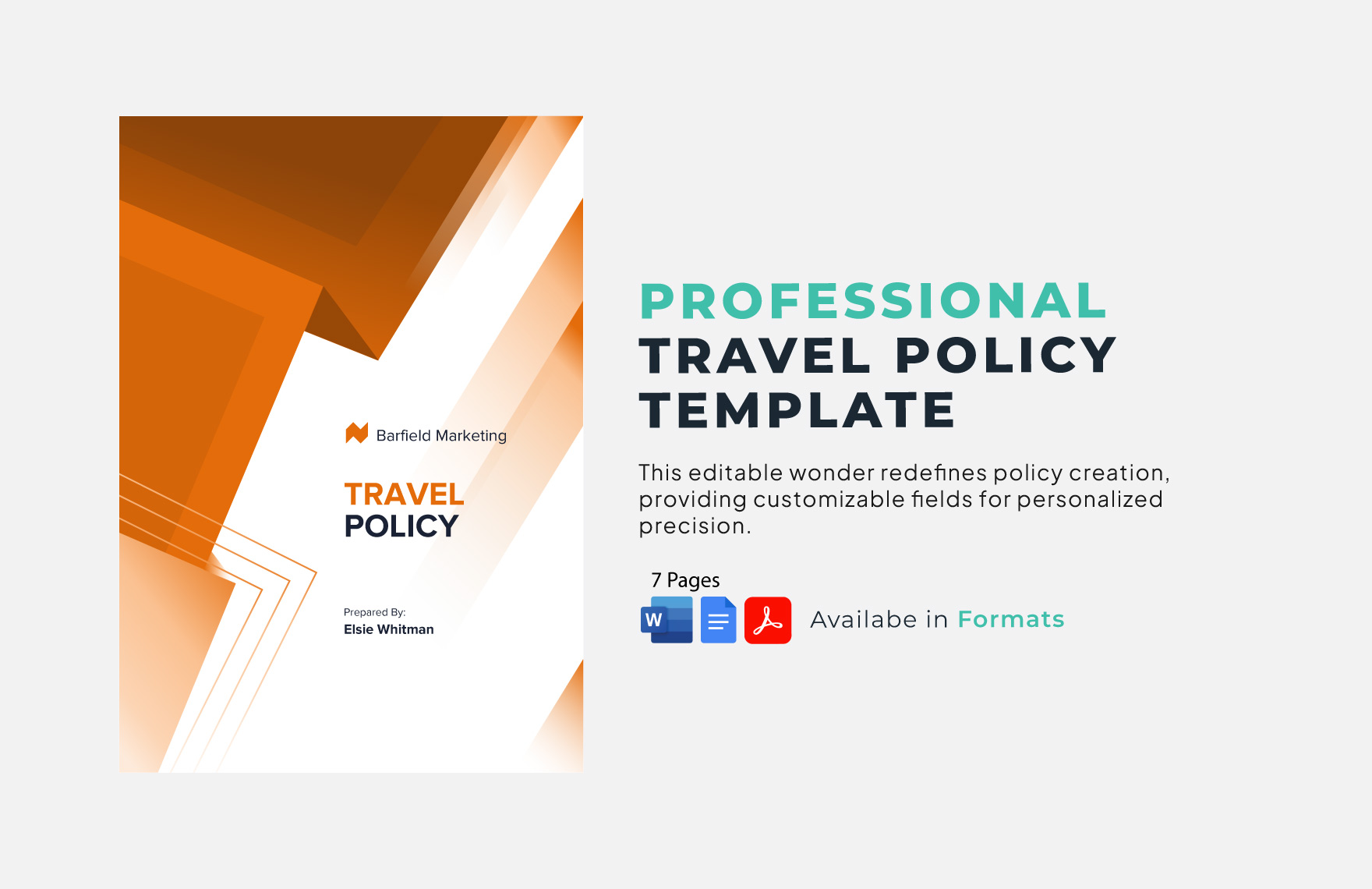 Travel Policy Template