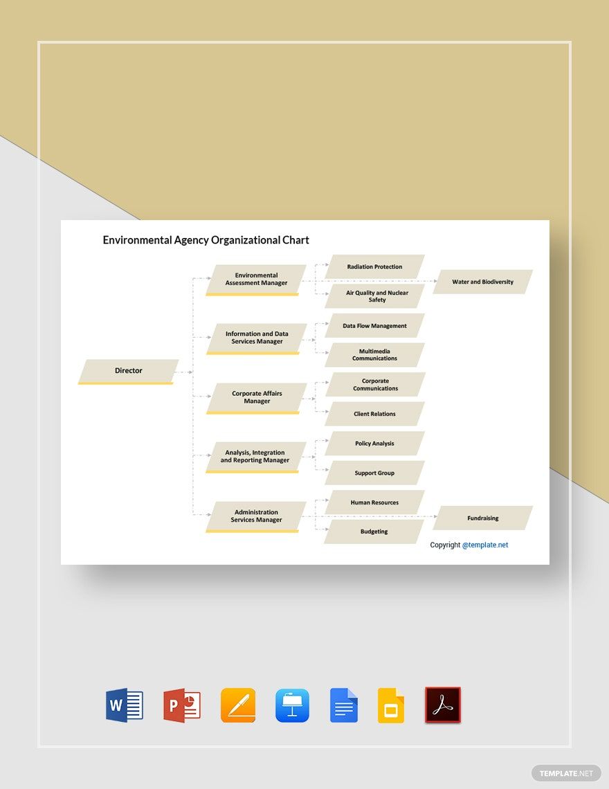 Simple Environmental Agency Organizational Chart Template in Google Docs, PowerPoint, Pages, PDF, Apple Keynote, Word, Google Slides - Download | Template.net