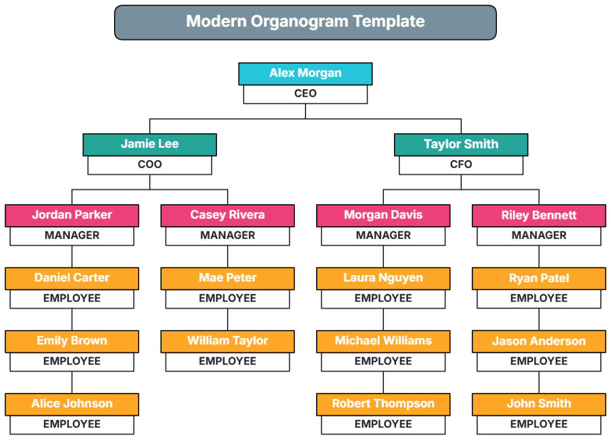 Free Modern Organogram Template