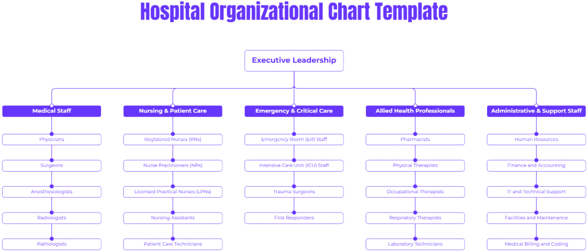 Free Hospital Organizational Chart Template